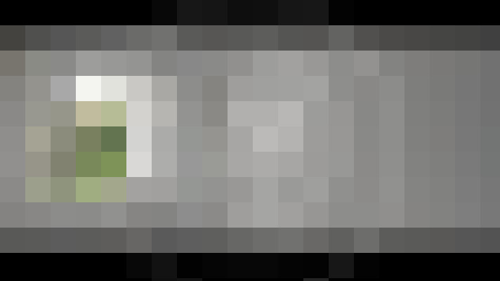  / #11