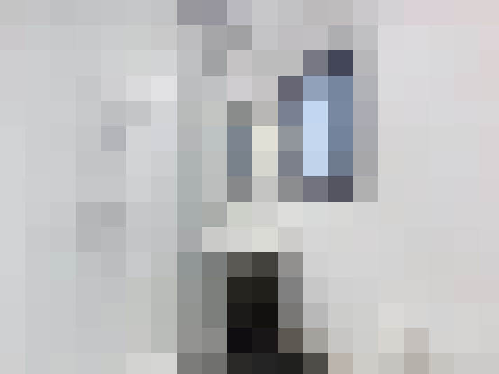  / #8