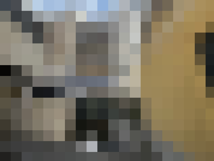 / #19