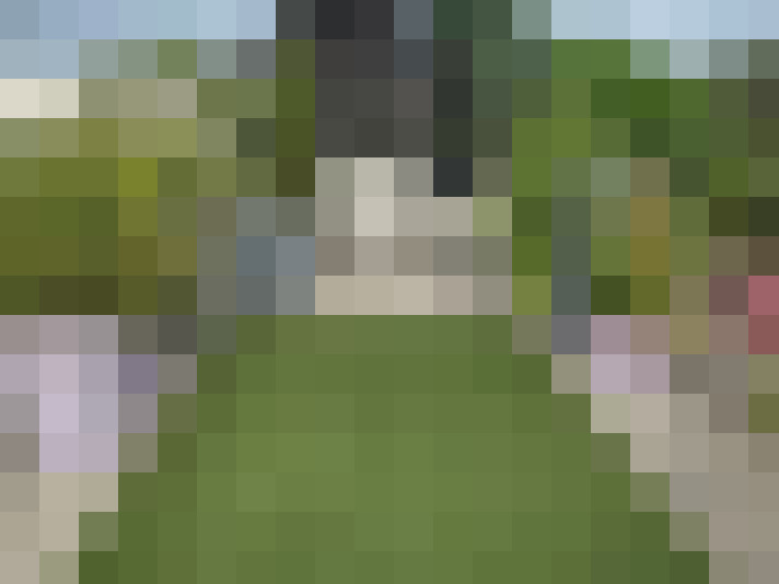  / #8