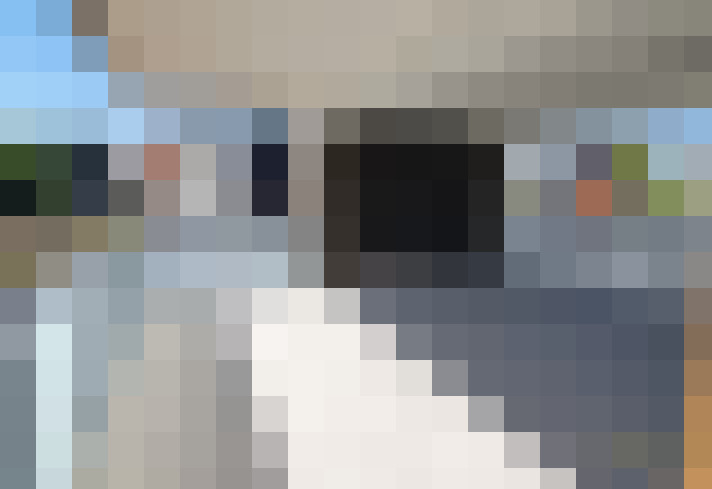  / #11
