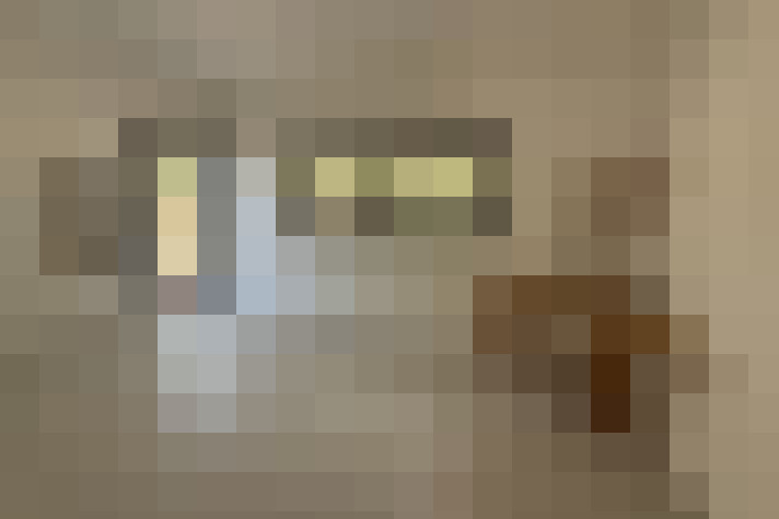  / #16