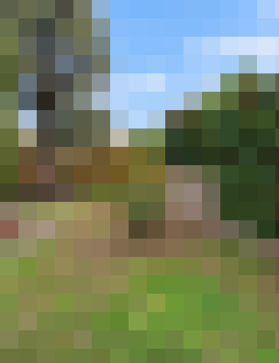  / #13