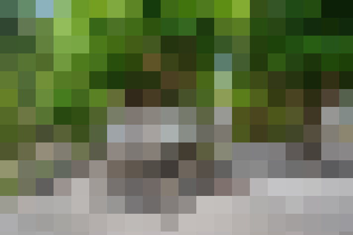  / #11