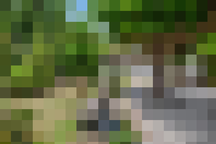 / #12