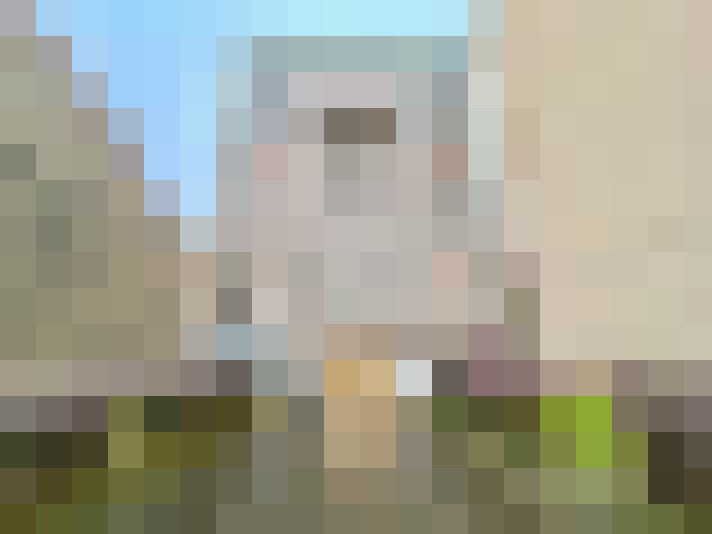  / #6