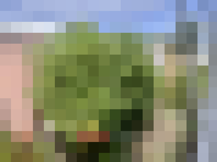  / #16