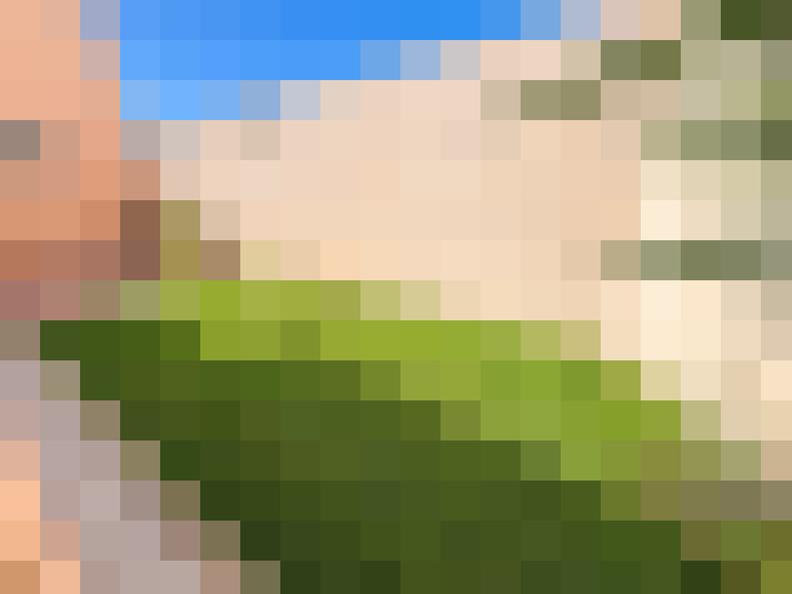  / #20