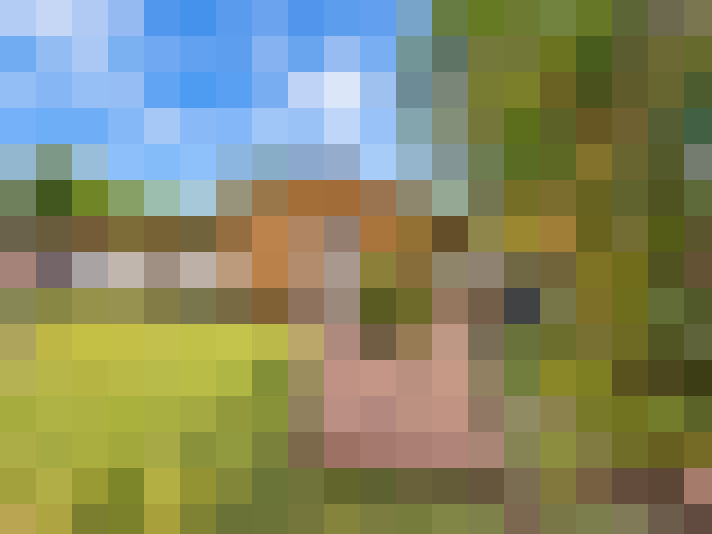  / #19