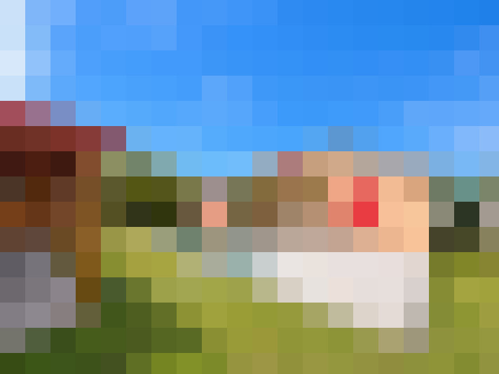  / #6