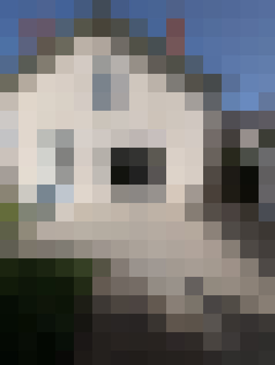  / #15