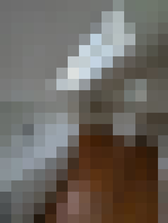  / #13