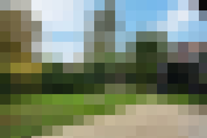  / #11