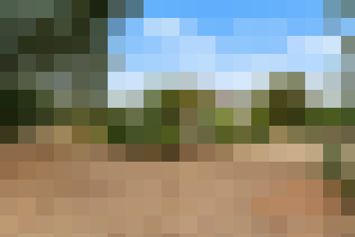  / #16