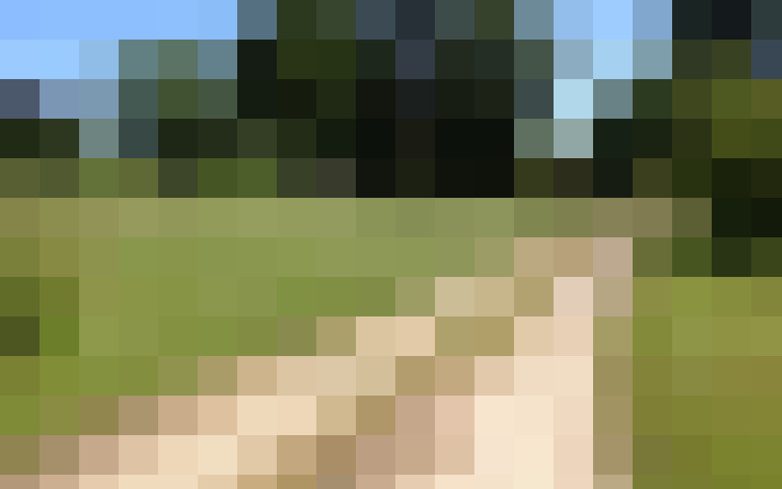  / #15