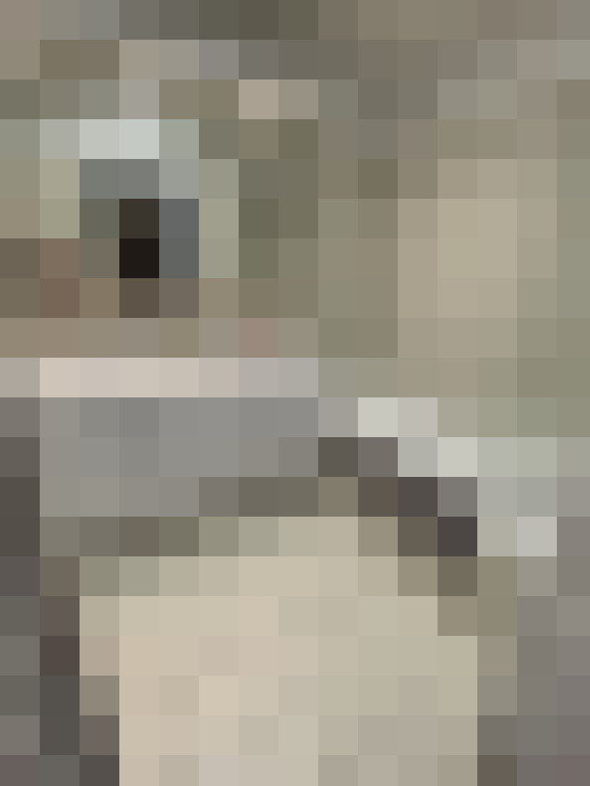  / #9