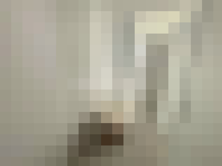  / #19