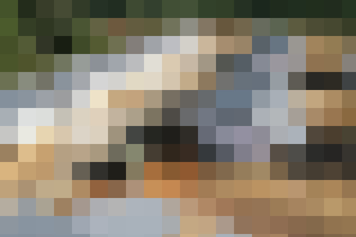  / #16