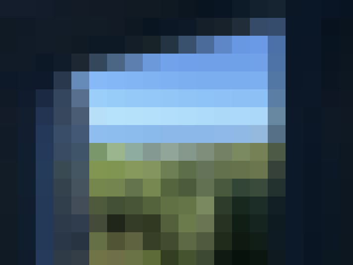  / #7