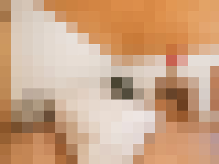  / #9