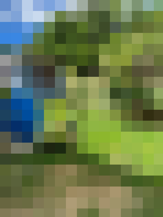  / #14