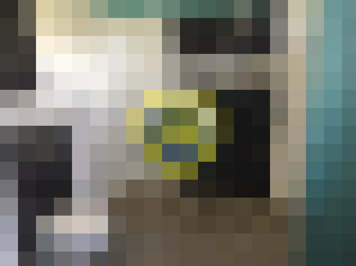  / #14