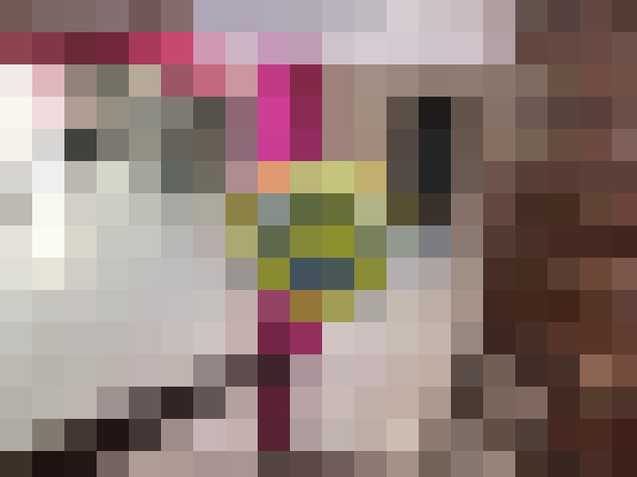  / #8