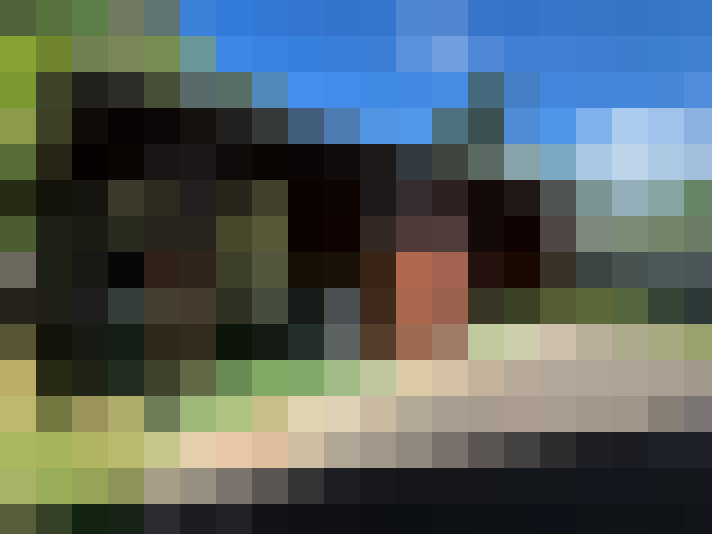  / #13