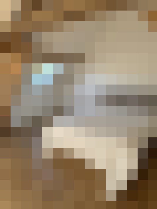  / #12