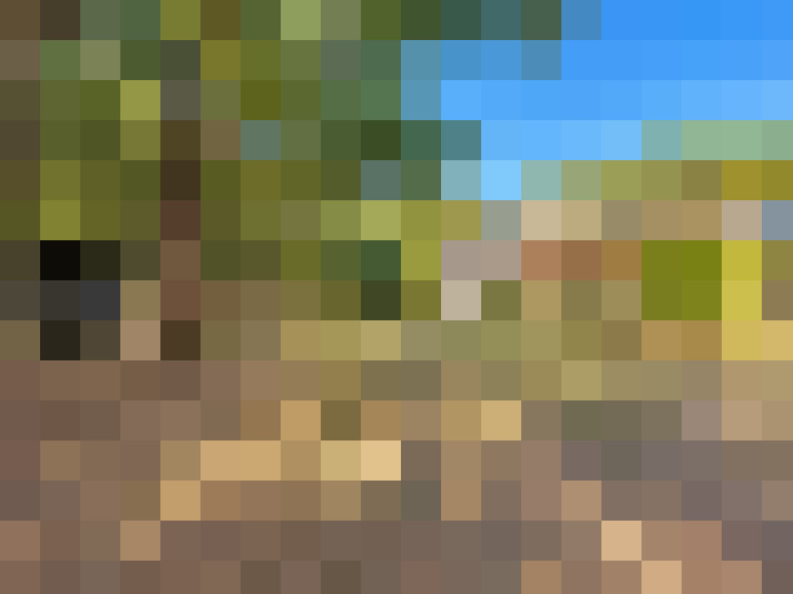  / #12