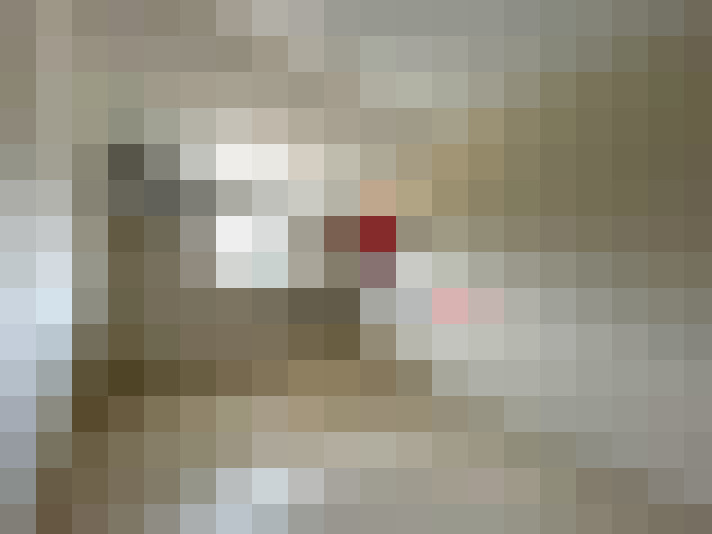  / #8