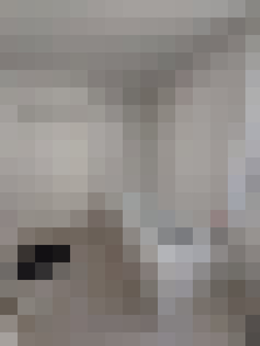  / #17