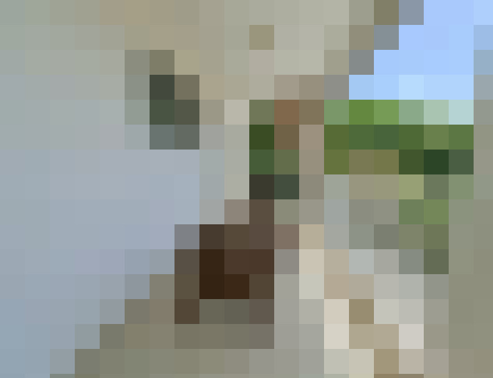 / #14