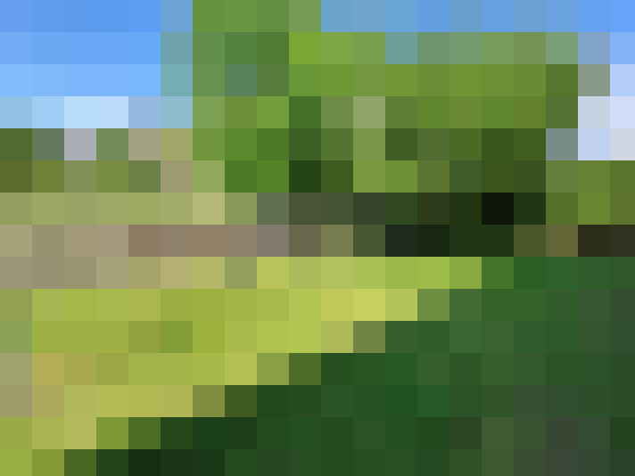  / #20