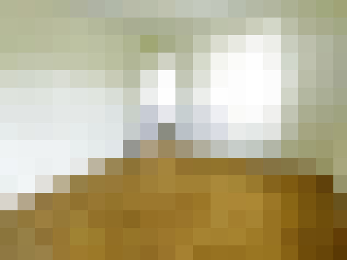  / #11
