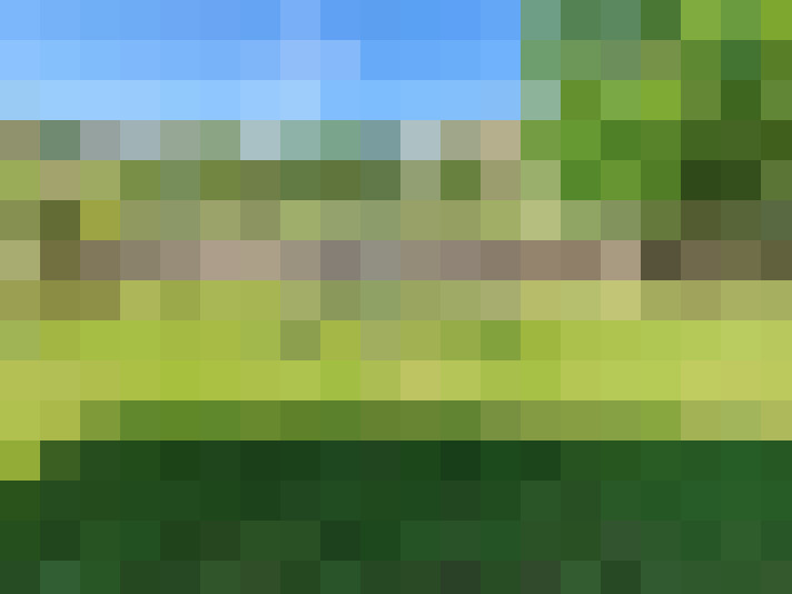  / #18