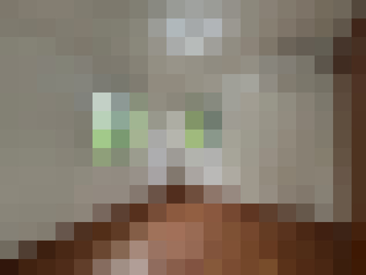  / #8