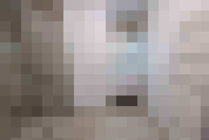  / #16