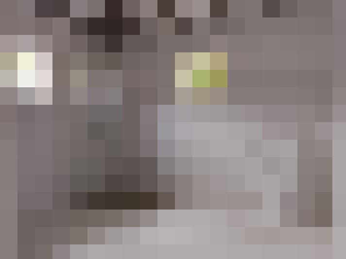  / #9