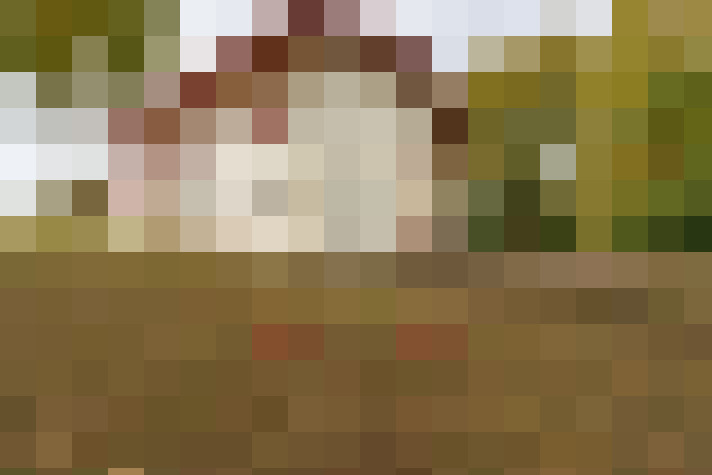  / #15