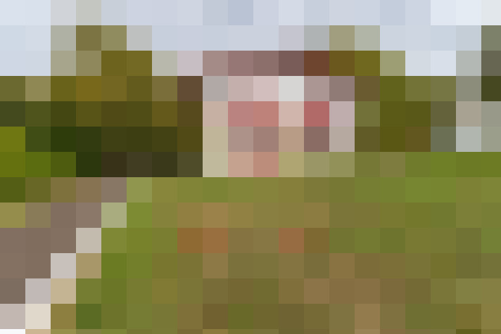  / #14