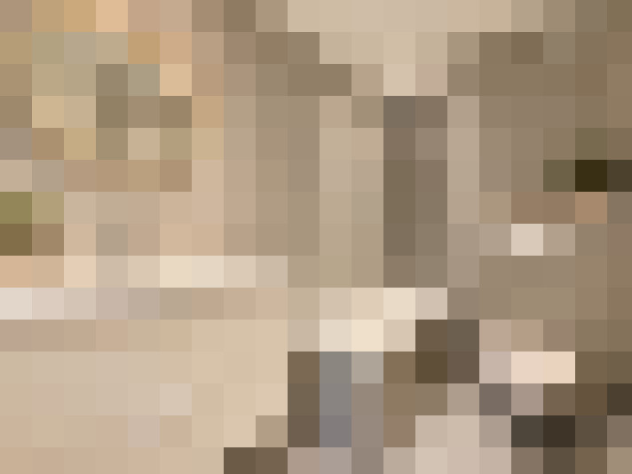  / #11