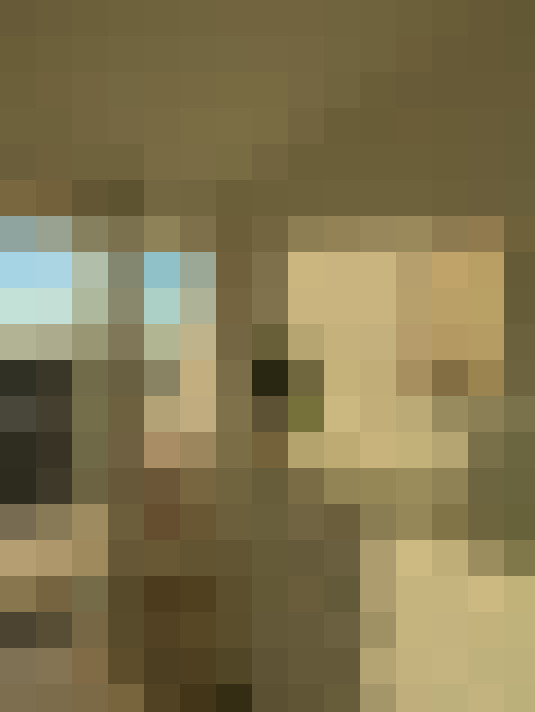  / #15