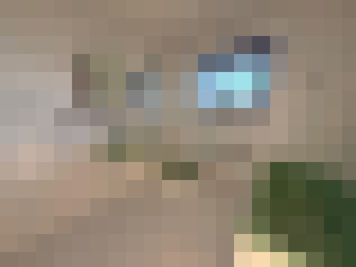  / #6