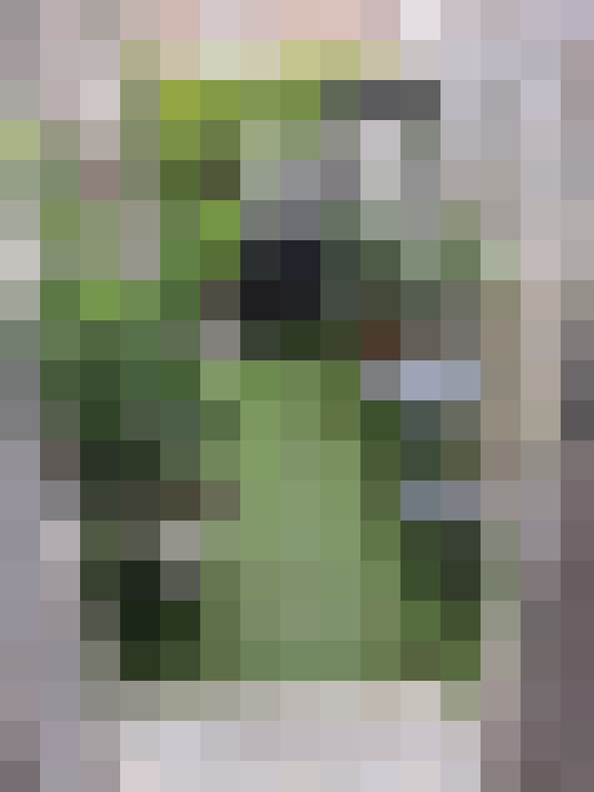  / #11