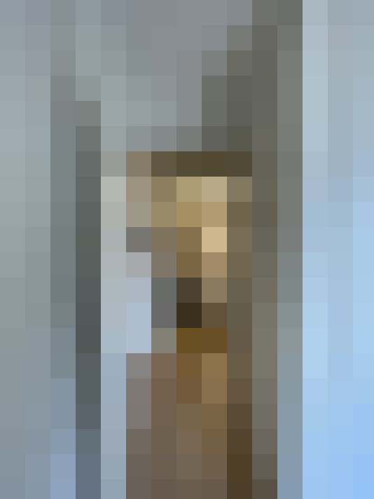  / #6