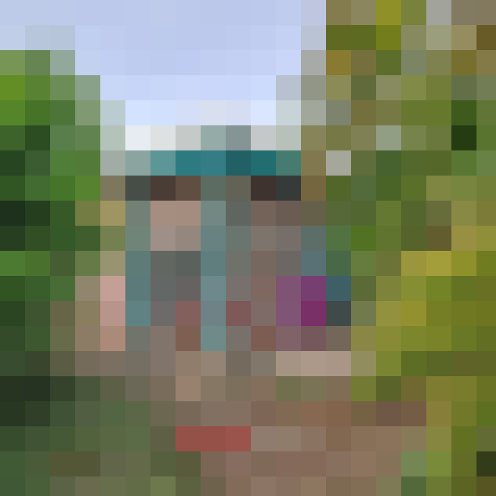  / #14