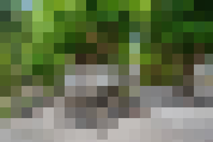  / #14