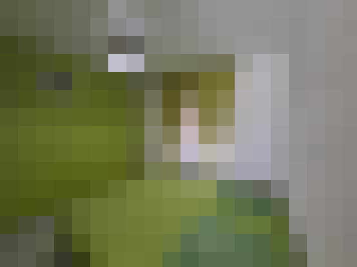  / #13