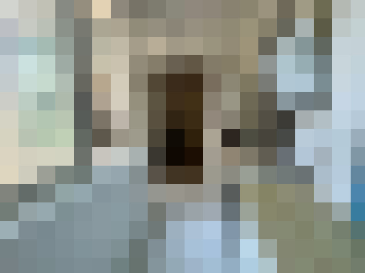  / #8